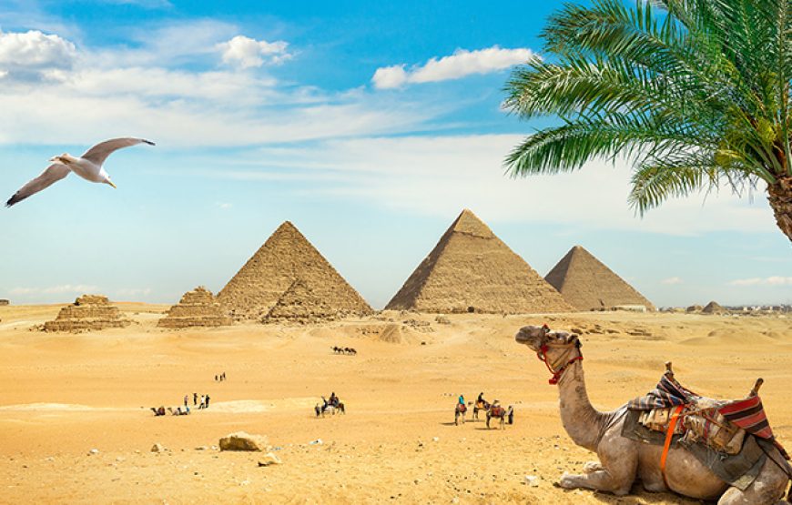 Cairo private Tour