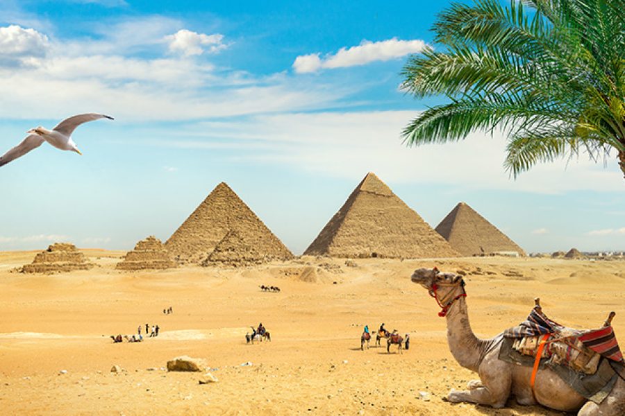 Cairo private Tour