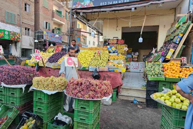 Private Hurghada City Tour