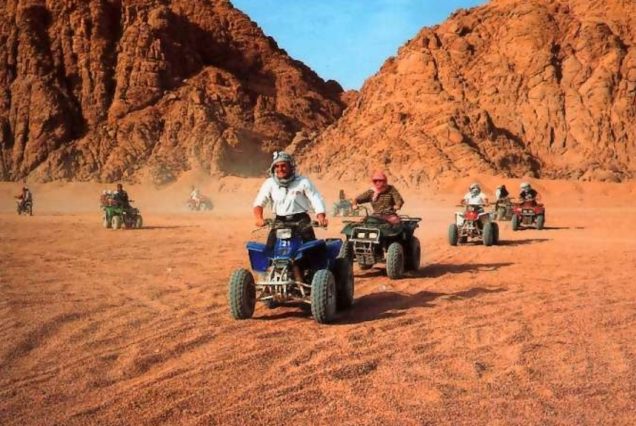 Quad Bike Safari with a Guided Group